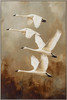 In Sync Print on Canvas with Champagne Frame - 102.5 x 152.5 x 4.5cm