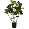 Money Tree in Pot - 68cm High