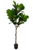 Artificial Fiddle Plant in Black Pot 180cm