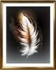 Single Feather II Framed Print