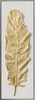 Golden Leaf II Hand Painted Artwork with Champagne Frame - 42.5 x 122.5 x 4.5cm