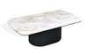 Organic Sintered Stone Coffee Table