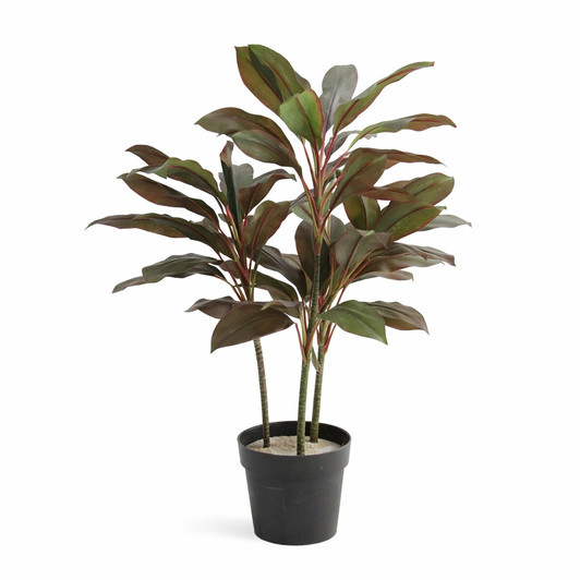 Artificial Cordyline Plant 100cm