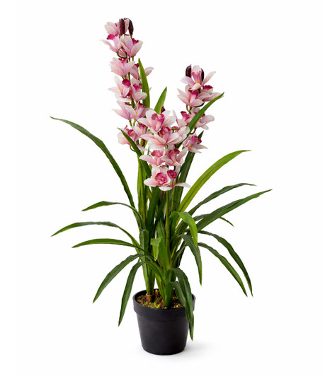 Artificial Orchid in Pot - 100cm