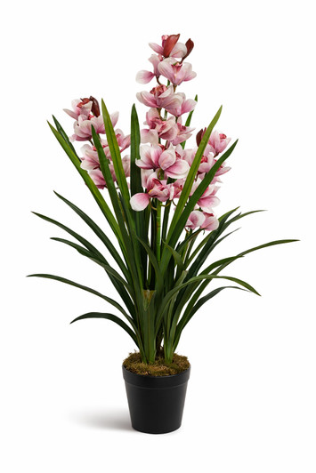 Artificial Orchid in Pot - 100cm