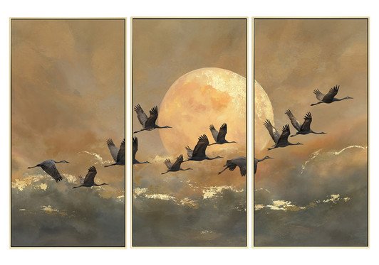 Set of 3 Prints on Canvases with Champagne Frames - 227.5 x 152.5 x 4.5cm