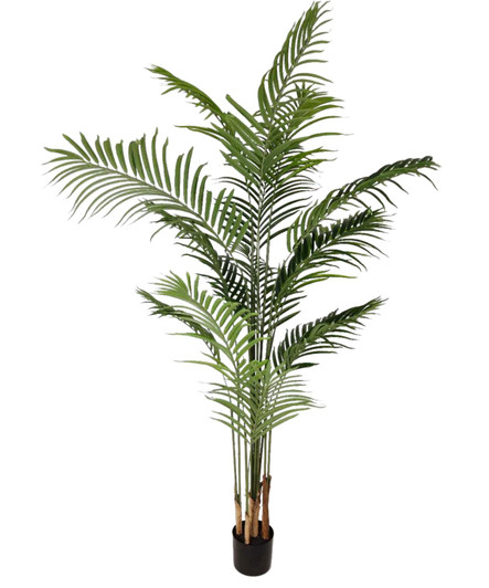 Faux Majestic Palm 180cm