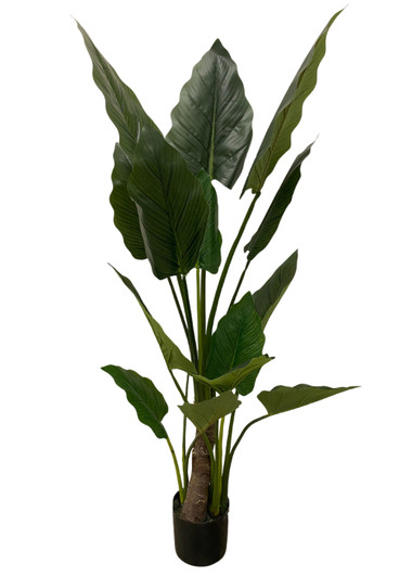 Artificial Elephant Palm 160cm