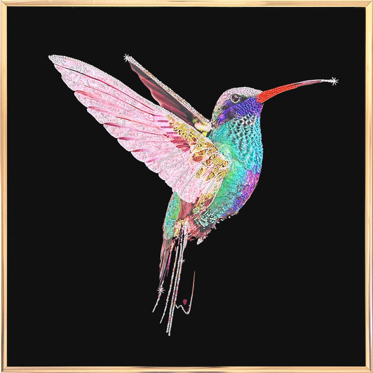 Hummingbird I Framed Wall Art