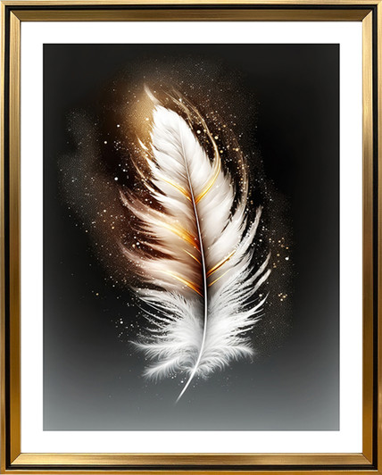 Single Feather II Framed Print