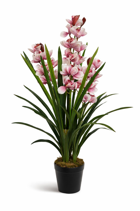 Artificial Orchid in Pot - 100cm