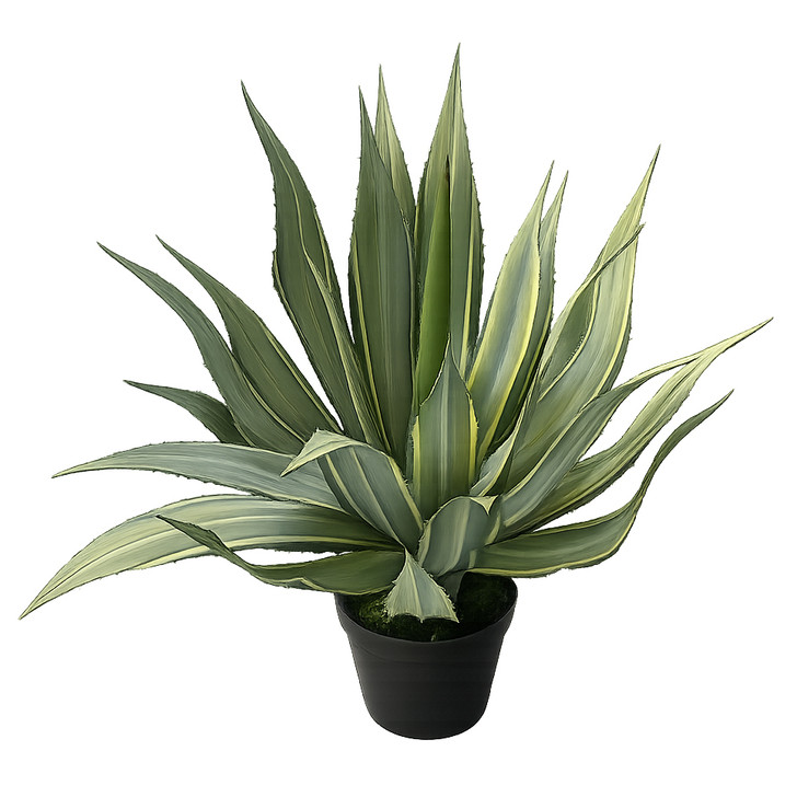 Artificial Agave Americana 65cm