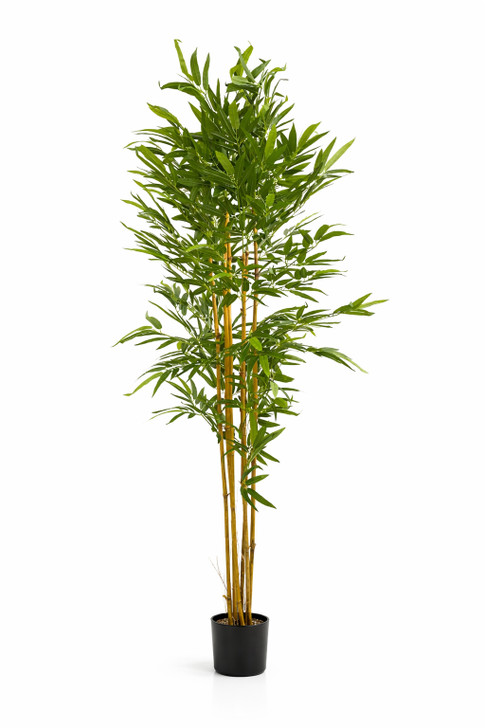 Artificial Bamboo Plant in Black Pot - 210cm
