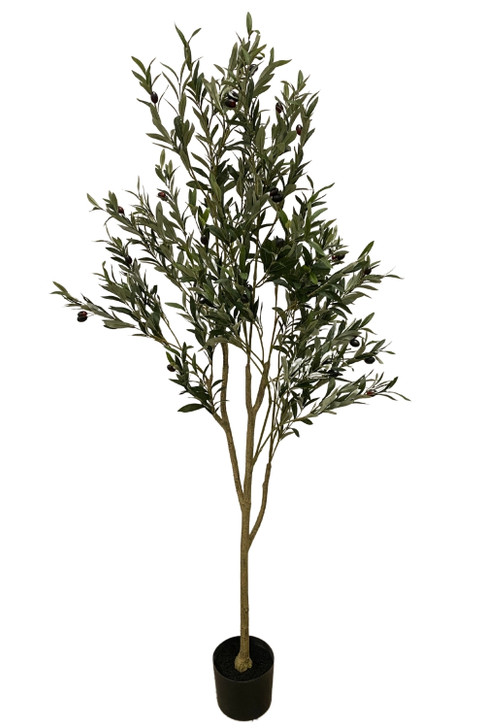 Olivo Artificial 170cm - Volplant