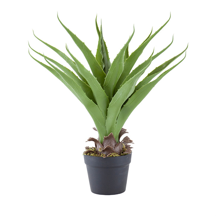 Faux Yucca Plant