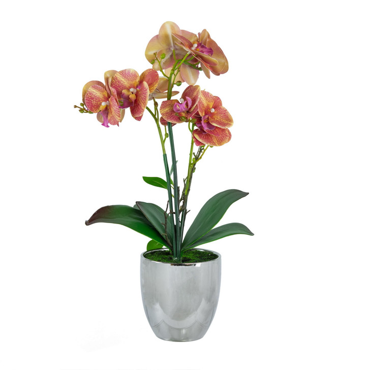 Real Touch Phalaenopsis Orchid