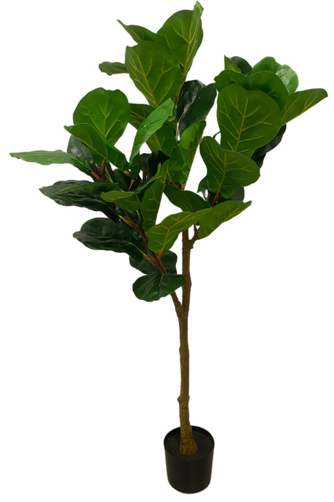 Artificial Fiddle Plant in Black Pot 150cm