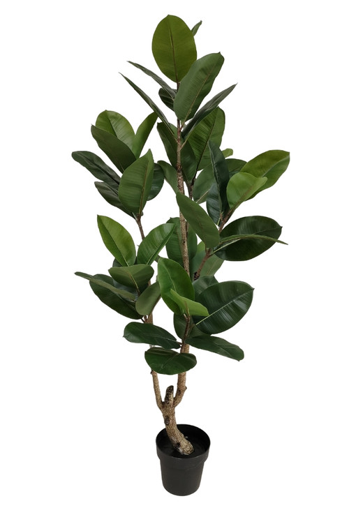 Artificial Ficus Elastica Plant 150cm