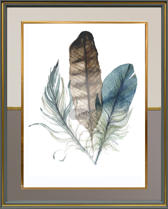 Trio of Feathers Framed Print