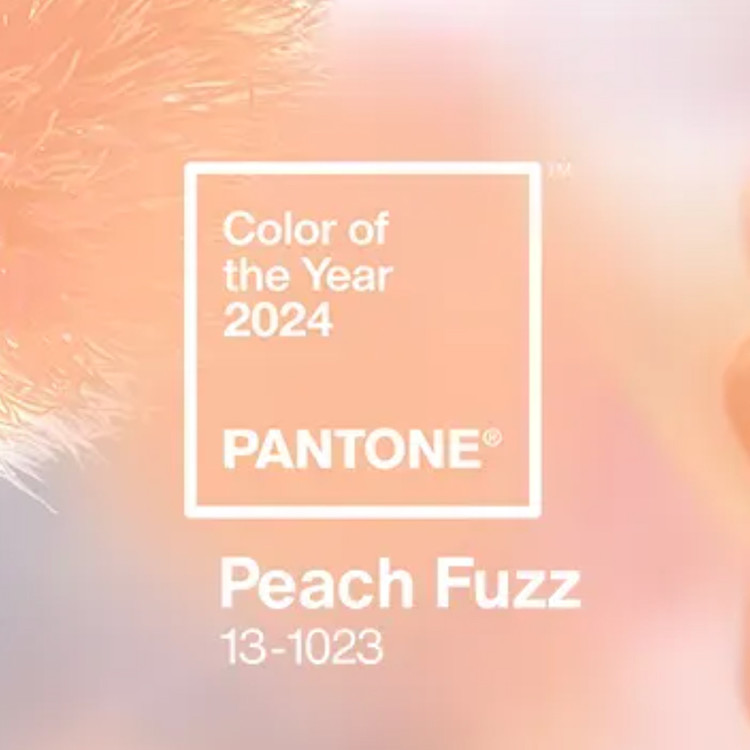 Peach Fuzz is Pantone's Colour of the Year 2024﻿