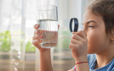 What is a water purifier and what does it do?