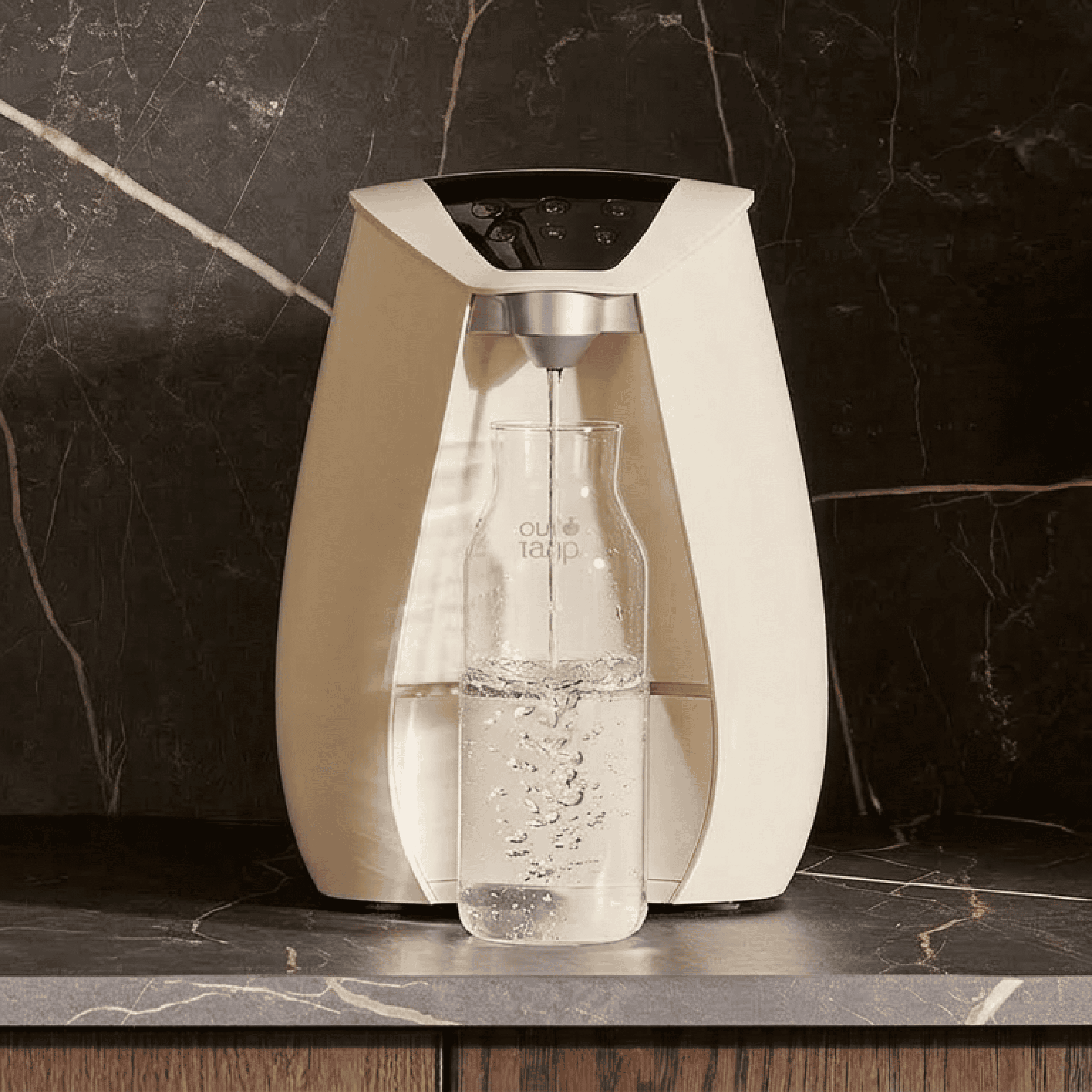 Home Water System II - Rental
