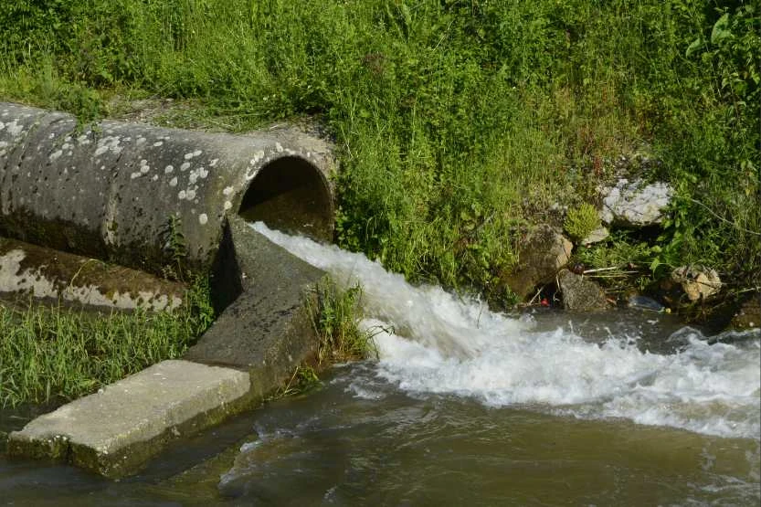 ​Why do water companies pump raw sewage into our rivers and seas?