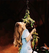 Lana Del Rey featuring decorated X-POLE Hoop on the Coachella mainstage (2024)!
*Example Only... Decorations & Rigging Equipment Not Included (Hoop Only) 