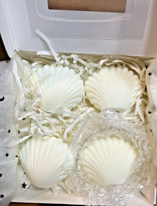 Handmade Seashell Candles 4-Pack – Floral Scented with Clear Glass Holder