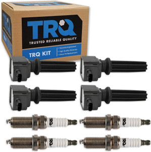 TRQ 8-Piece Ignition Coil & Iridium Spark Plug Kit – Ford Fusion EcoSport