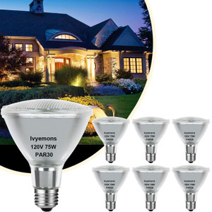Ivyemons PAR30 75W Halogen Flood Light Bulbs 6-Pack E26 Dimmable 2800K