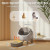 ZLAFM Smart Self-Cleaning Cat Litter Box – App Control, Multi-Cat, 11L Bin