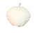 Handmade Seashell Candles 4-Pack – Floral Scented with Clear Glass Holder