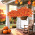 Grunyia Outdoor Artificial Fall Flowers – 7-Stem UV-Resistant Bundle