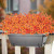 Grunyia Outdoor Artificial Fall Flowers – 7-Stem UV-Resistant Bundle