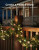 Govee 30-Piece Clear Star & Snowflake Christmas Light Clips (Open Box)