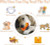 Freezable Treat Puzzle Chew Toy for Teething Dogs & Aggressive Chewers