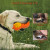 Freezable Treat Puzzle Chew Toy for Teething Dogs & Aggressive Chewers