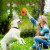 Freezable Treat Puzzle Chew Toy for Teething Dogs & Aggressive Chewers