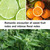 Xeptle Lime Basil Citrus Soy Candle – 7oz, 50+ Hr Burn, Odor Eliminating