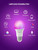 Colorpanda A19 Smart LED Color Changing Bulb – Alexa & Google, No Hub