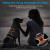 Petmegoo No Pull Dog Harness - Dual Clip Reflective Orange Medium
