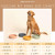 The Perfect Dish Silicone Dog Bowl – 5-Cup No-Spill Suction Base, Sage