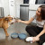 The Perfect Dish Silicone Dog Bowl – 5-Cup No-Spill Suction Base, Sage