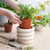 JOFAMY 6" Tiered Bubble Ceramic Planter Pot – Matte Creamy White Art Deco