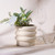 JOFAMY 6" Tiered Bubble Ceramic Planter Pot – Matte Creamy White Art Deco