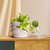 JOFAMY 6" Tiered Bubble Ceramic Planter Pot – Matte Creamy White Art Deco