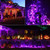 200 LED Purple Halloween String Lights 72ft – 8 Modes, Waterproof & Timer