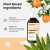 Vitamin C Serum 20% – Anti-Aging, Dark Spot & Brightening Face Serum 2 oz