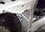 HONDA ACCORD (CD5) 1994-1997 - FENDER (3 POINTS) HONDA ACCORD (CD5) 1994-1997 - FENDER (3 POINTS)